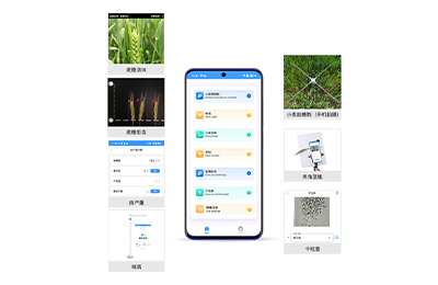 武汉市小麦表型检测仪IN-XM04